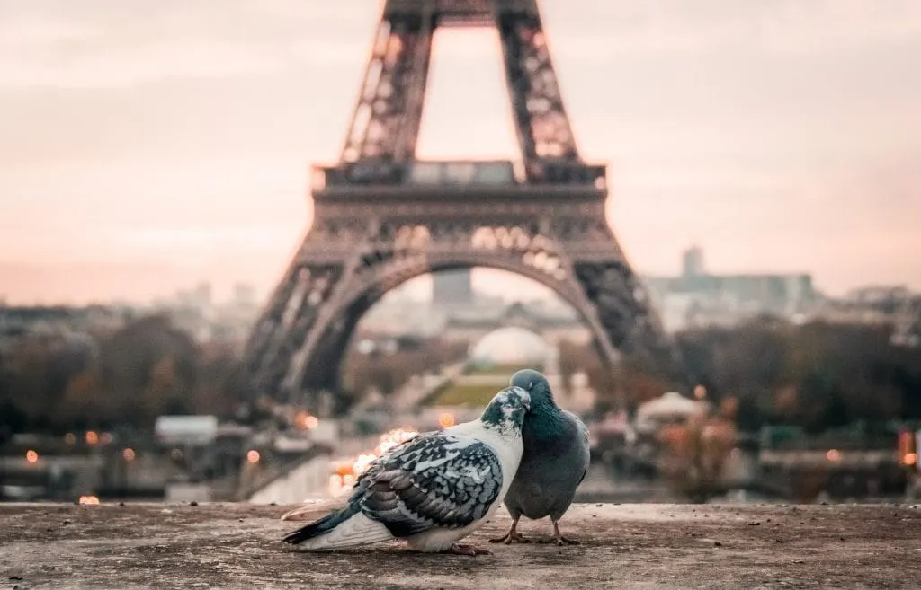 best vegan restaurants in Paris