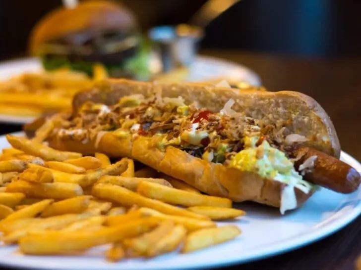 Leonardo Vegan Hot Dog in Ceske Budejovice Czech Republic