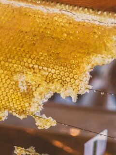 is honey vegan - honeycomb