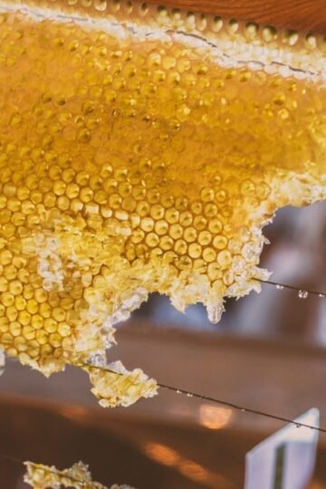 is honey vegan - honeycomb