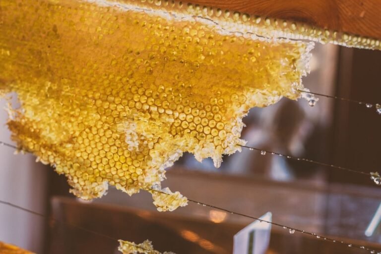 is honey vegan - honeycomb