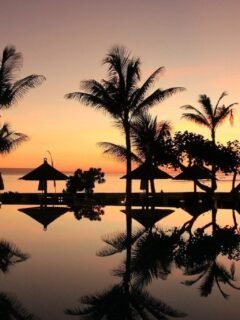 Bali Fitness Retreats