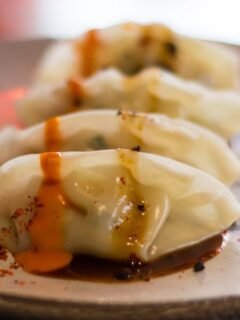 Vegan Dumplings at Secret Garden in Berlin Germany