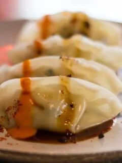 Vegan Dumplings at Secret Garden in Berlin Germany