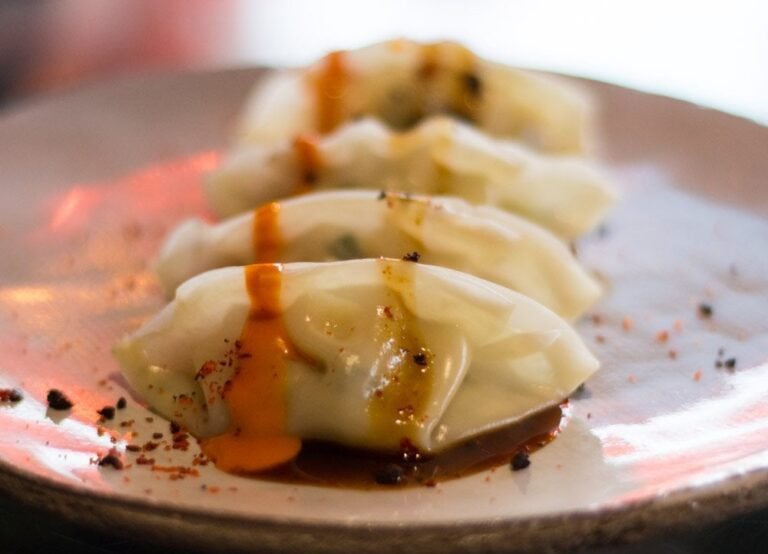 Vegan Dumplings at Secret Garden in Berlin Germany