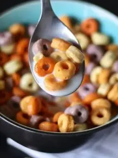 non-vegan food - breakfast ceral