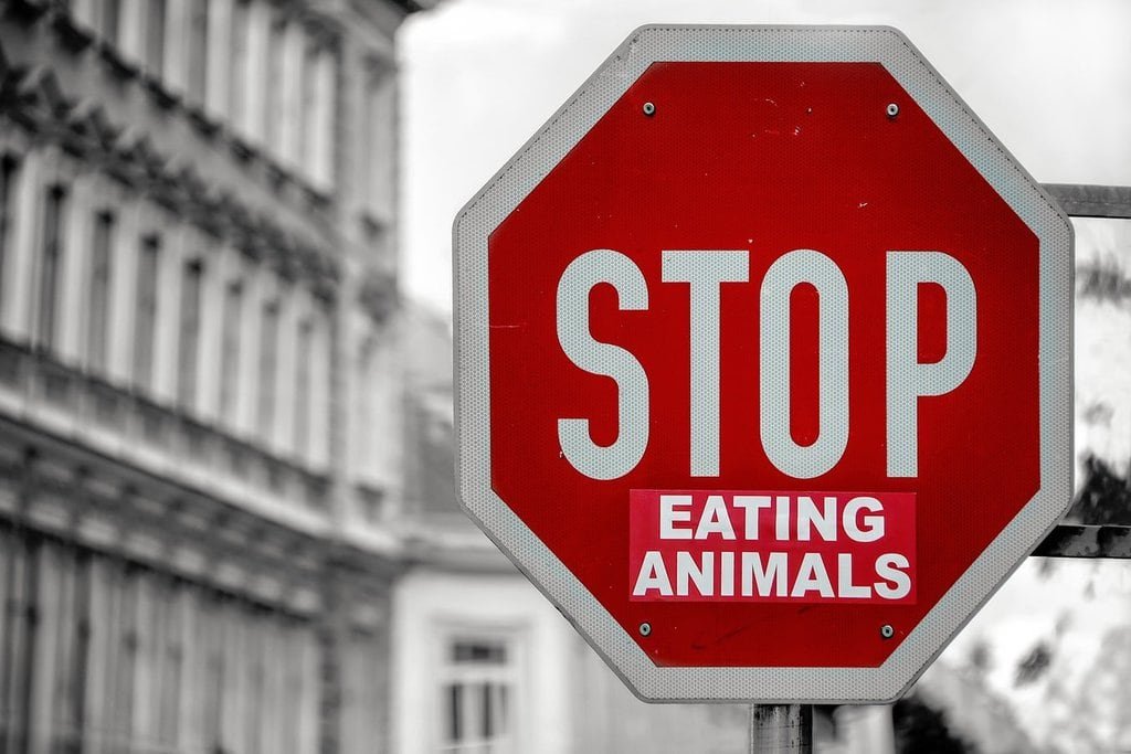 quotes on veganism - stop eating animals sign