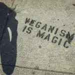quotes on veganism - "vegan is magic"