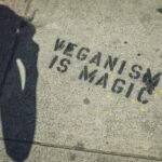 quotes on veganism - "vegan is magic"