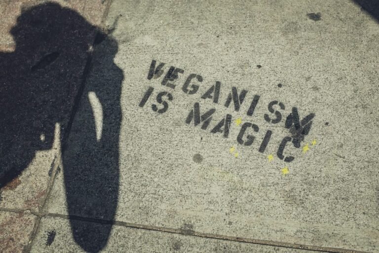 quotes on veganism - "vegan is magic"