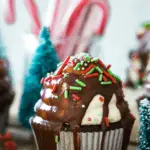 vegan gift baskets