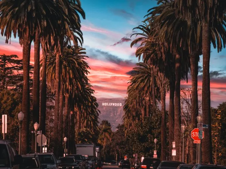 Los Angeles - Best Vegan Restaurants in Los Angeles guide header image