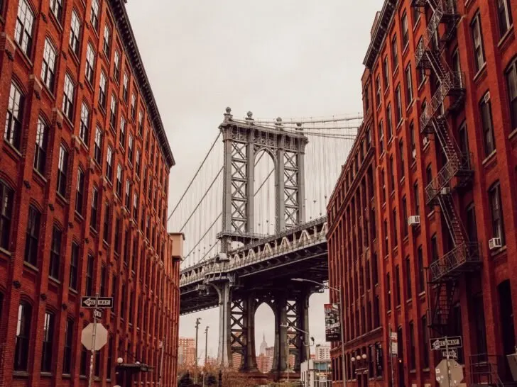 Brooklyn Vegan Guide - Best Vegan Restaurants in Brooklyn NYC - Brooklyn Bridge