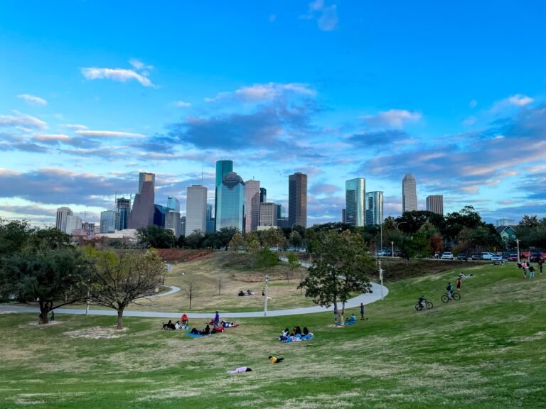 Houston Skyline - vegan restaurants in Houston