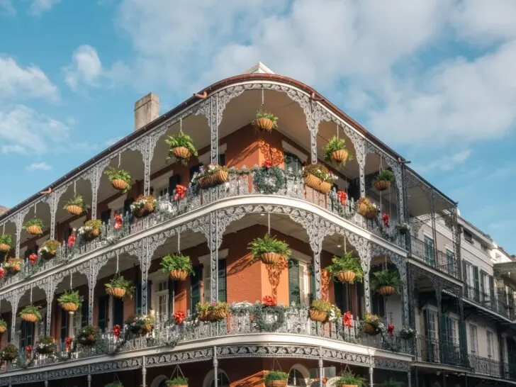 New Orleans LA - Best Vegan New Orleans