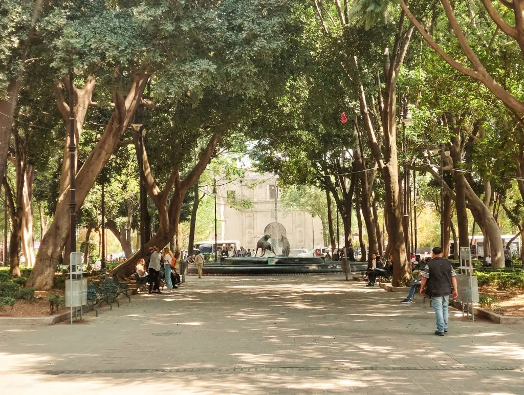 Vegan Mexico City Guide - Coyoacan Fuente de los Coyotes