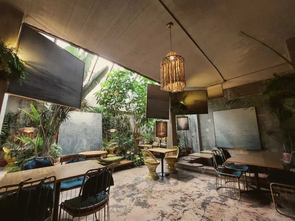 Mexico City Vegan - Plantasia