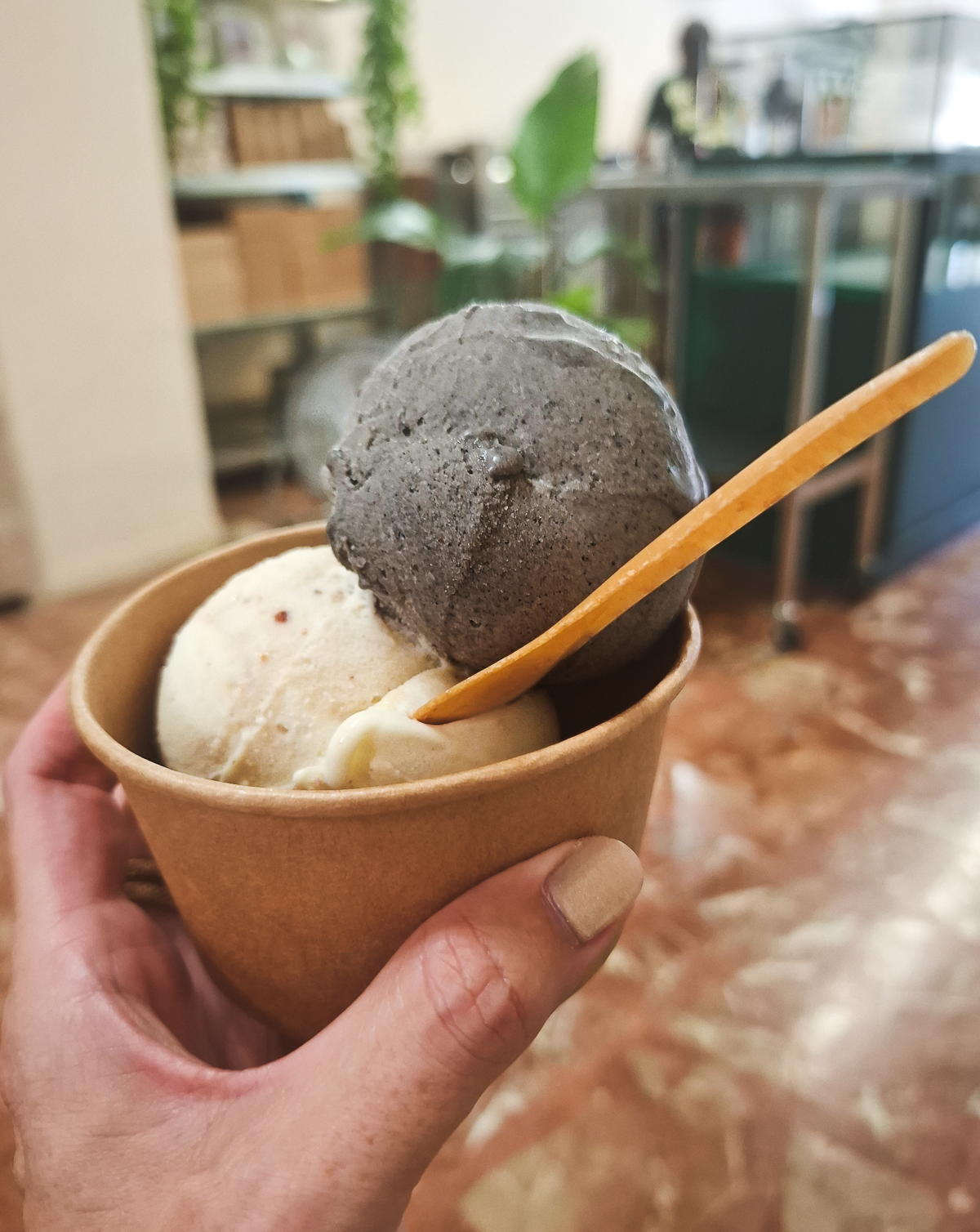 vegan ice cream from ALTERNA Mostrador Gelat in Barcelona