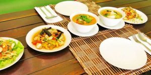 The Best Vegan Cooking Class in Chiang Mai, Thailand